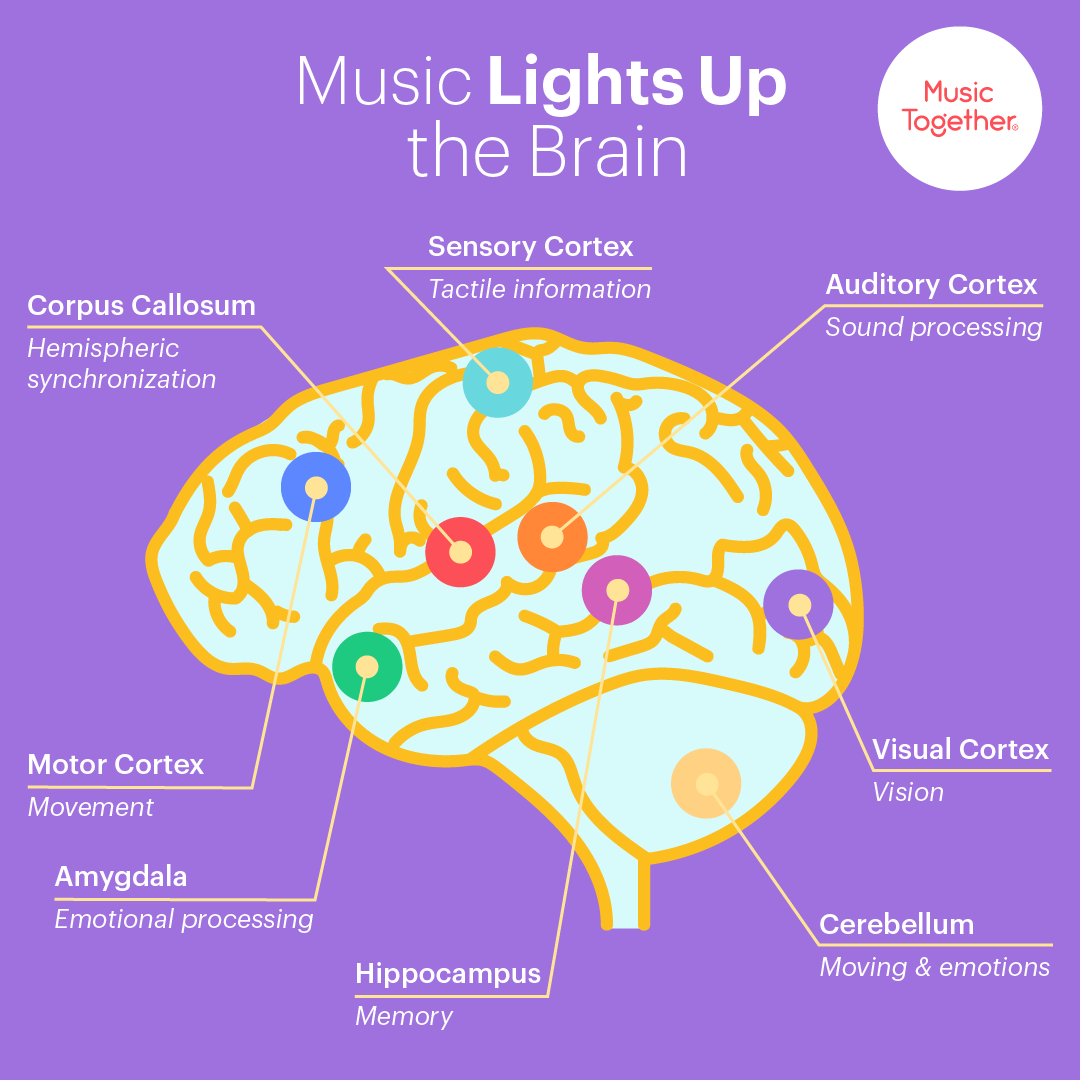 informative speech on how music affects the brain
